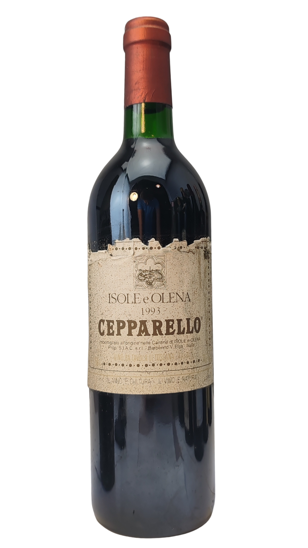 Testo del Genepy is an alpine plant that grows in poor, high-altitude envir_20250827_120845_0000