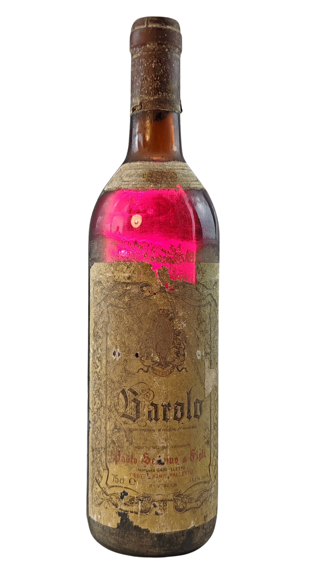 Testo del Genepy is an alpine plant that grows in poor, high-altitude envir_20251117_202923_0000