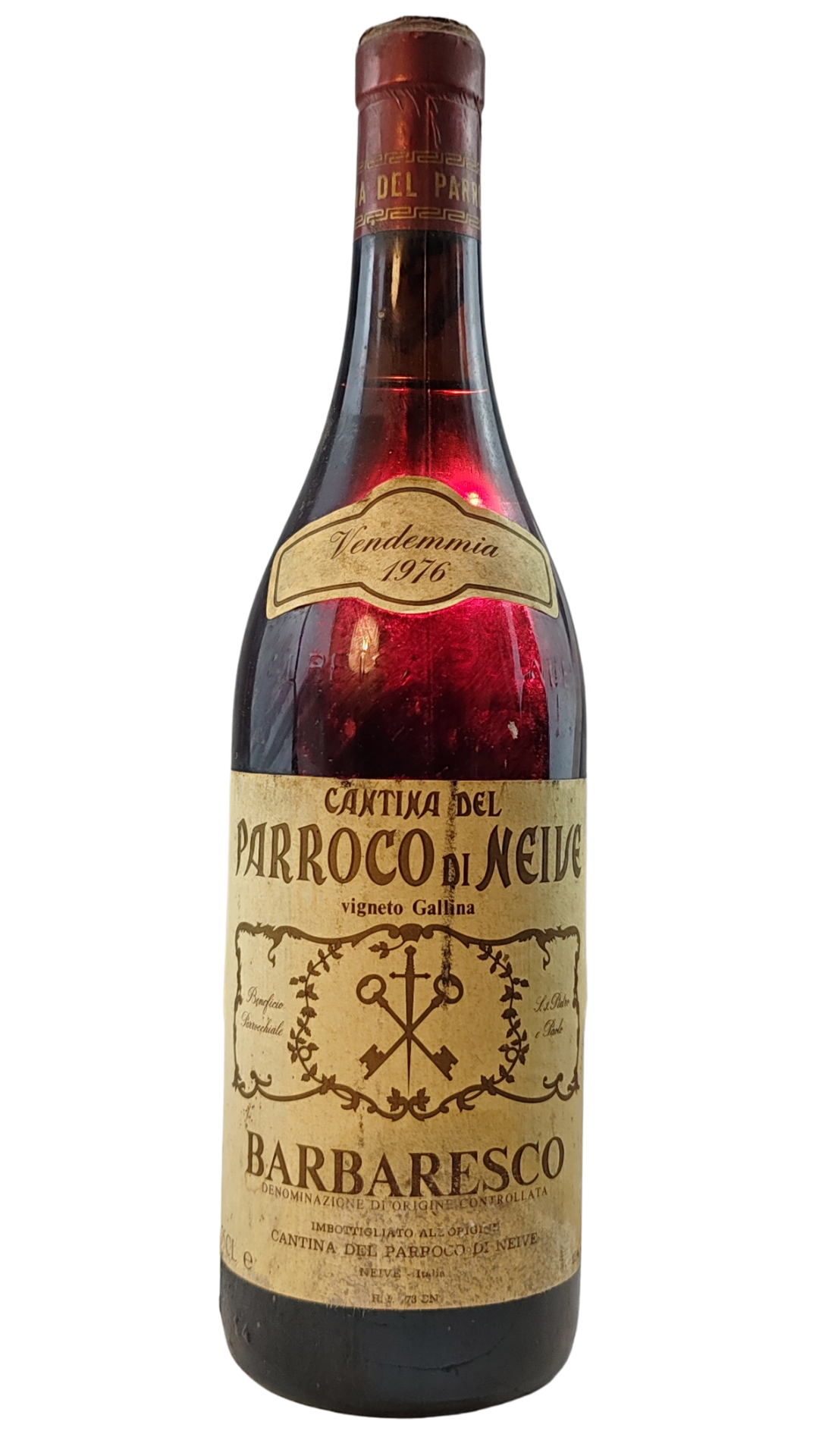 Testo del Genepy is an alpine plant that grows in poor, high-altitude envir_20251117_203034_0000