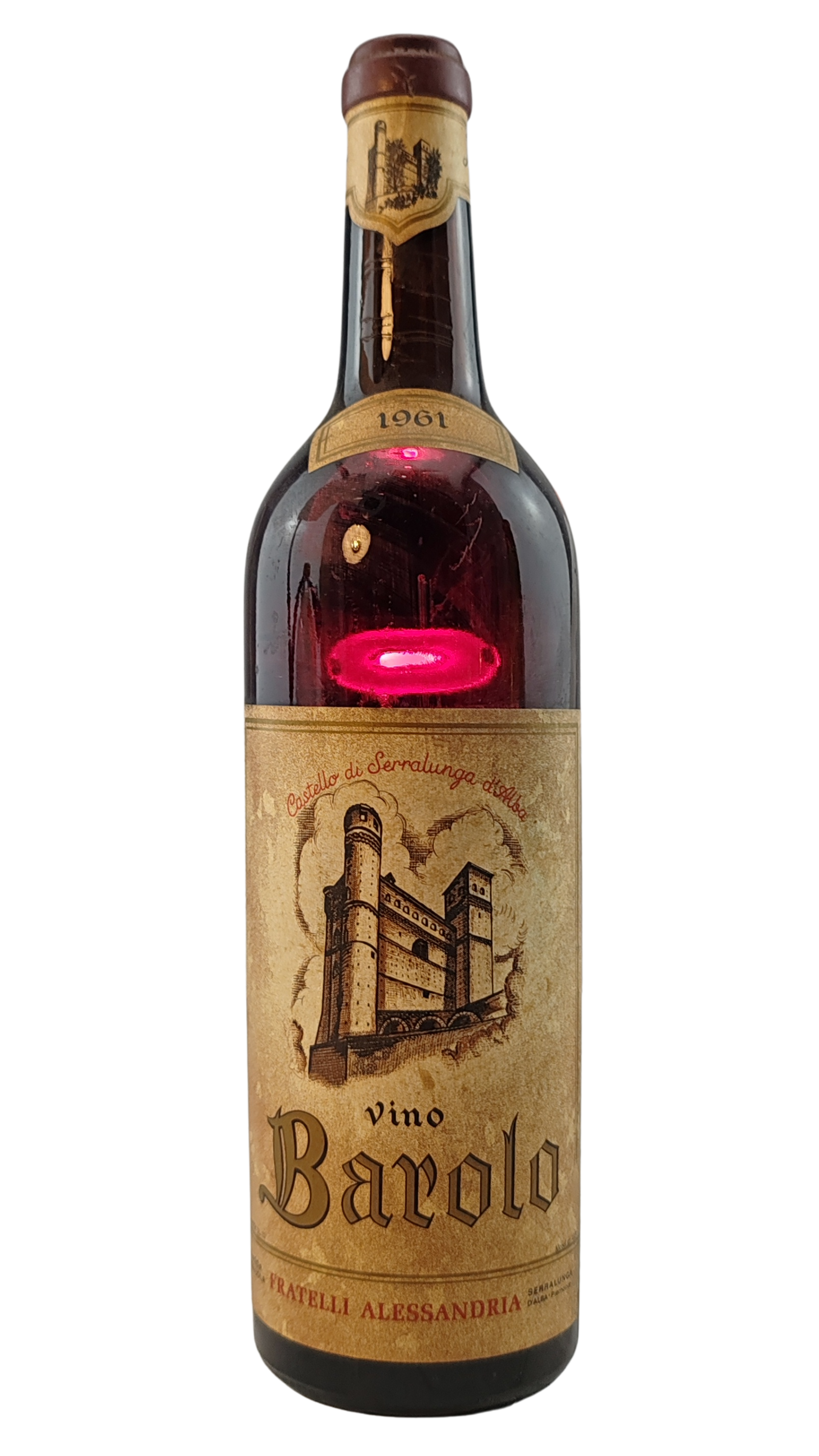 Testo del Genepy is an alpine plant that grows in poor, high-altitude envir_20251117_210708_0000