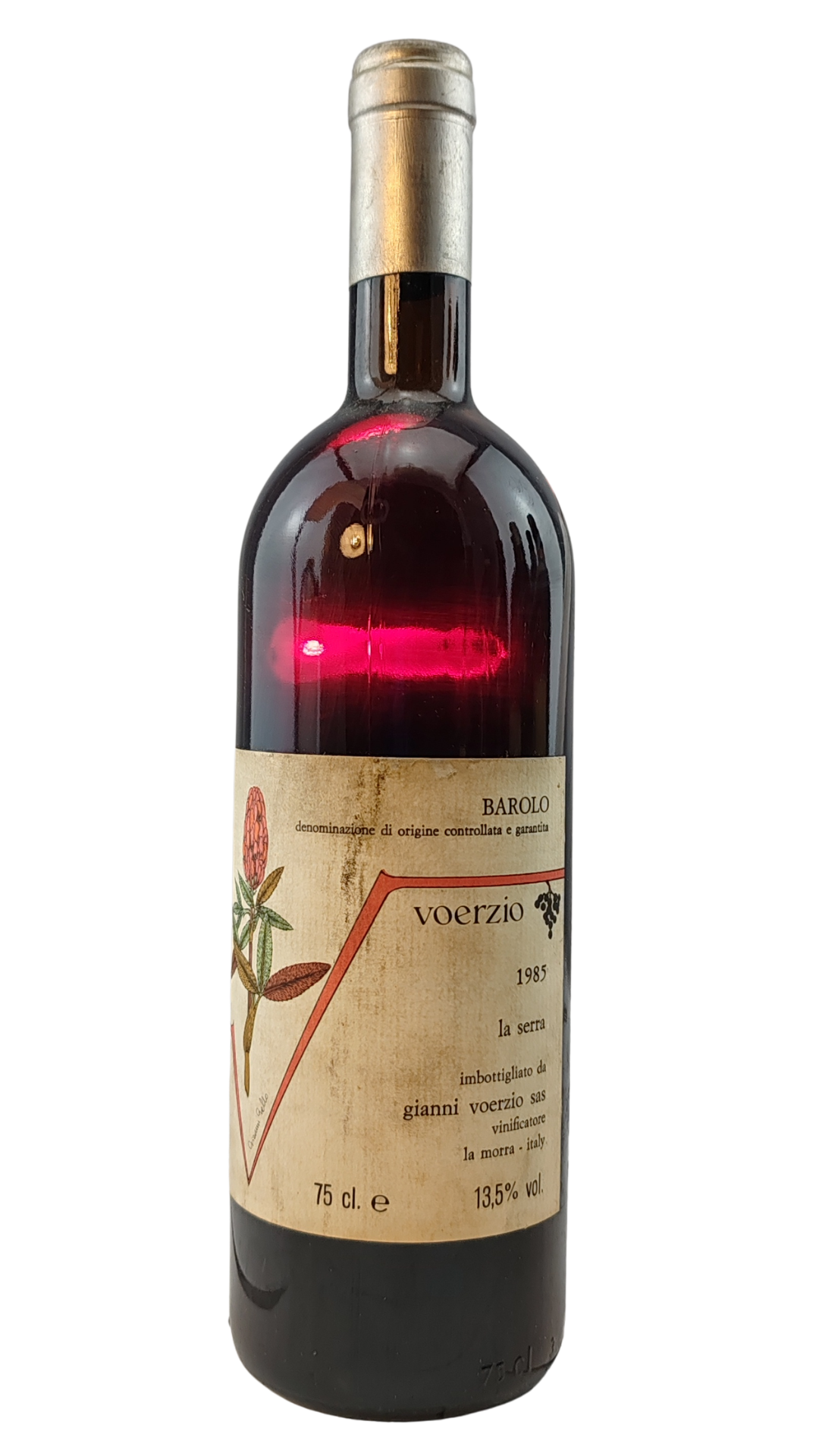 Testo del Genepy is an alpine plant that grows in poor, high-altitude envir_20251117_213619_0000