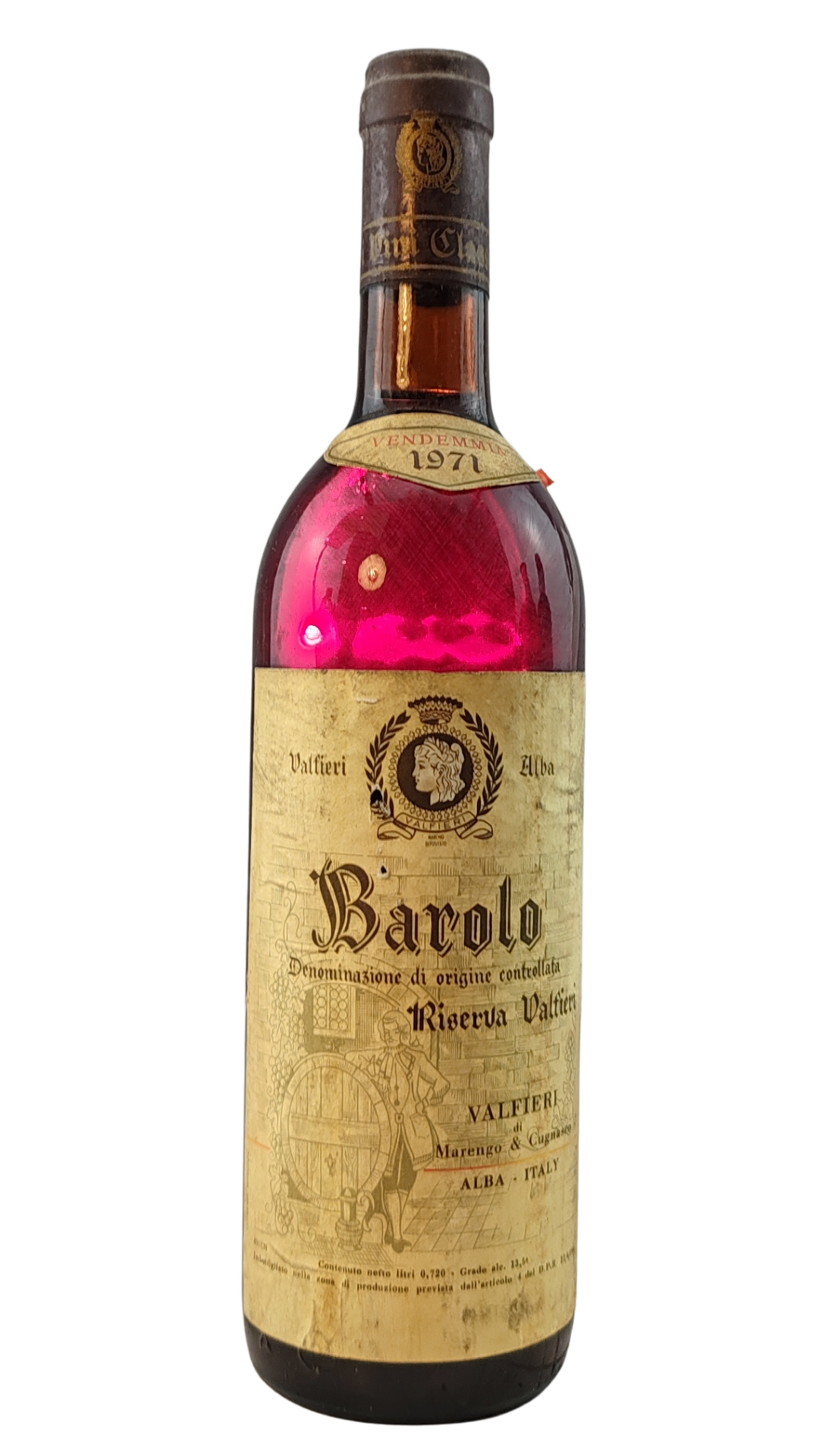 Testo del Genepy is an alpine plant that grows in poor, high-altitude envir_20251117_213829_0000