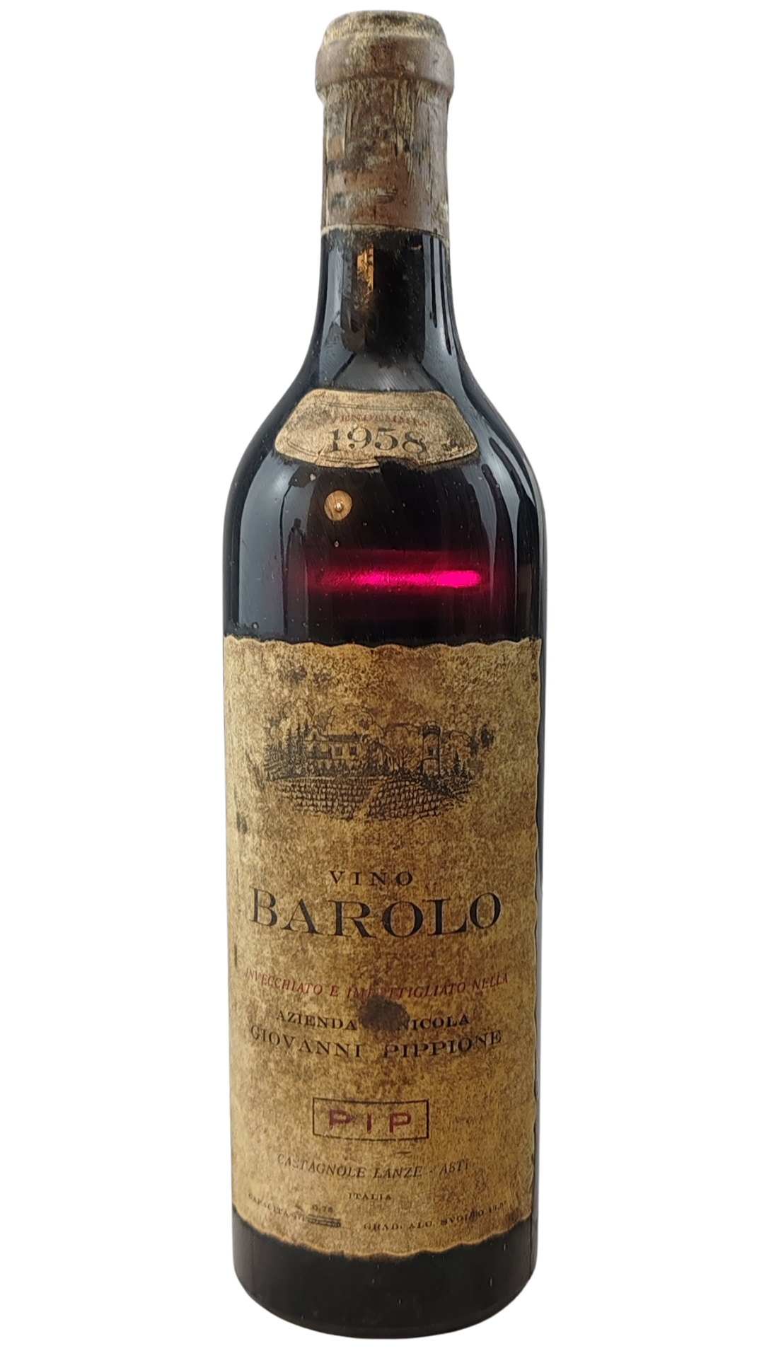 Testo del Genepy is an alpine plant that grows in poor, high-altitude envir_20251117_220349_0000