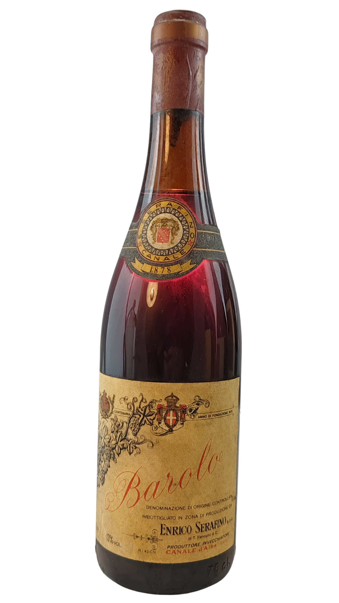 Testo del Genepy is an alpine plant that grows in poor, high-altitude envir_20251117_220558_0000